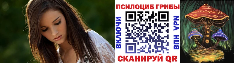 Псилоцибиновые грибы Magic Shrooms  дарнет шоп  Кущёвская 